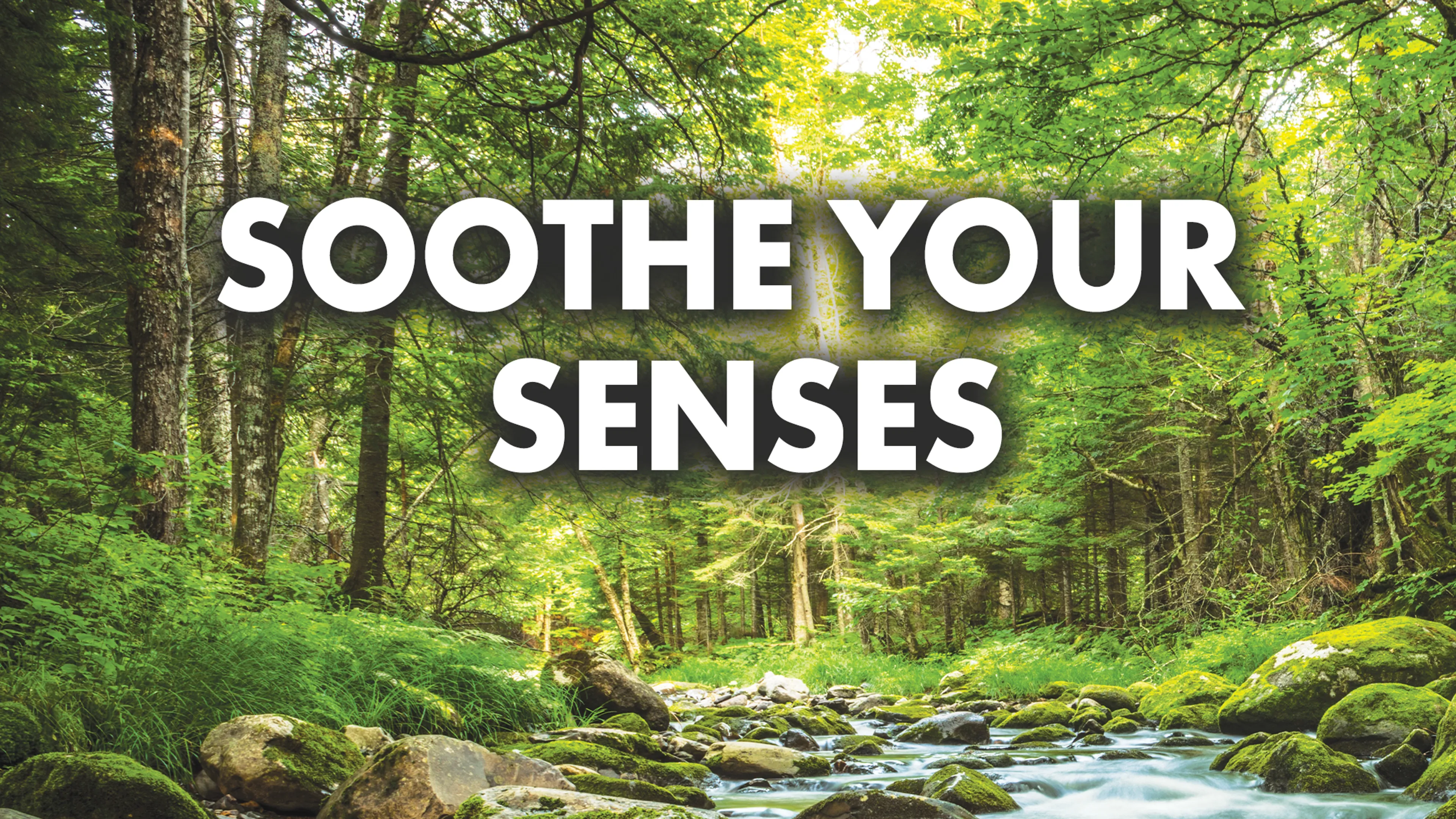 Soothe Your Senses poster